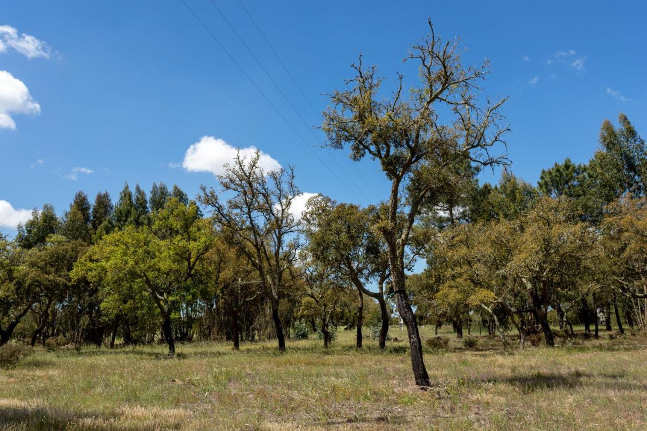Monte Dos Passarinhos Villa Grândola Dış mekan fotoğraf