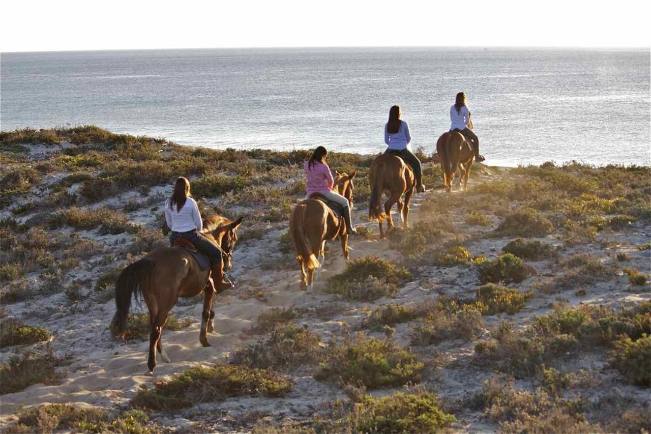 Monte Dos Passarinhos Villa Grândola Dış mekan fotoğraf